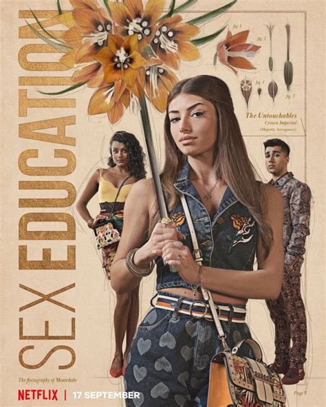 sex education season 3 480p download|Sex Education 2019 Download 480p, 720p & 1080p.